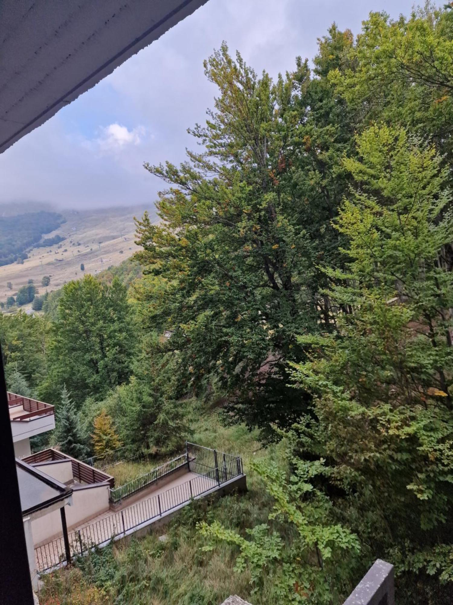 La Tana Del Capriolo Lejlighed Prati di Tivo Eksteriør billede