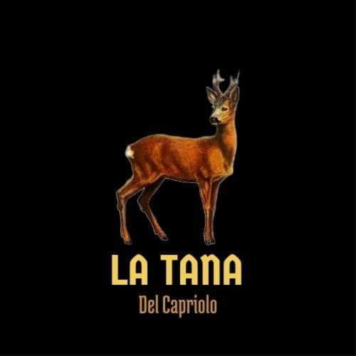 La Tana Del Capriolo Lejlighed Prati di Tivo Eksteriør billede
